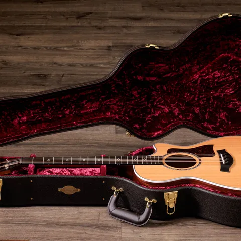 2024年の新アコースティックギター | Taylor Guitars